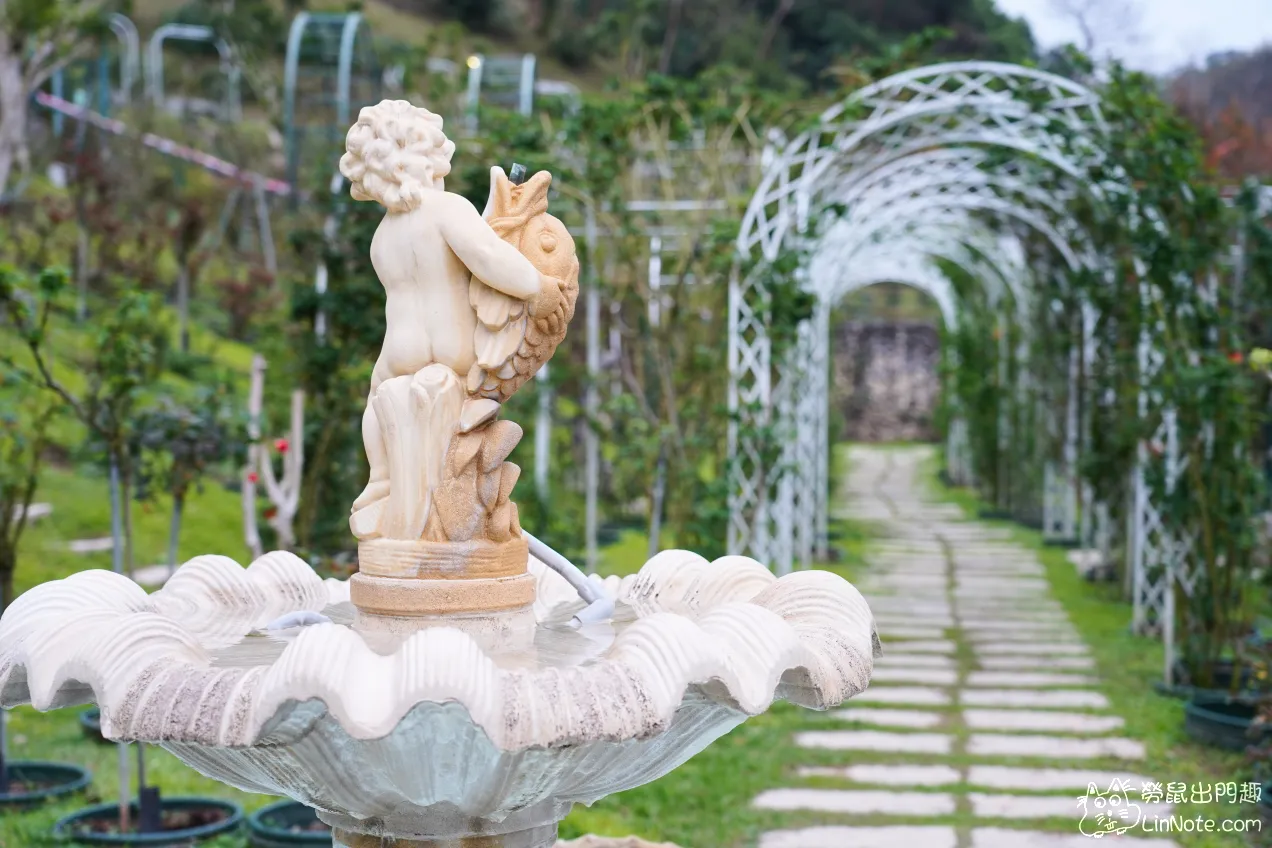苗栗頭屋景點『雅聞七里香玫瑰森林』全台最大免費玫瑰花園，還有兒童充氣城堡