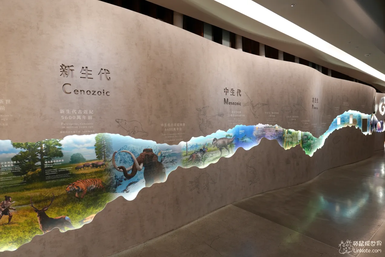 【台北中正區】台灣國立博物館古生物館｜全台唯二暴龍化石，只要銅板價就可以欣賞 63