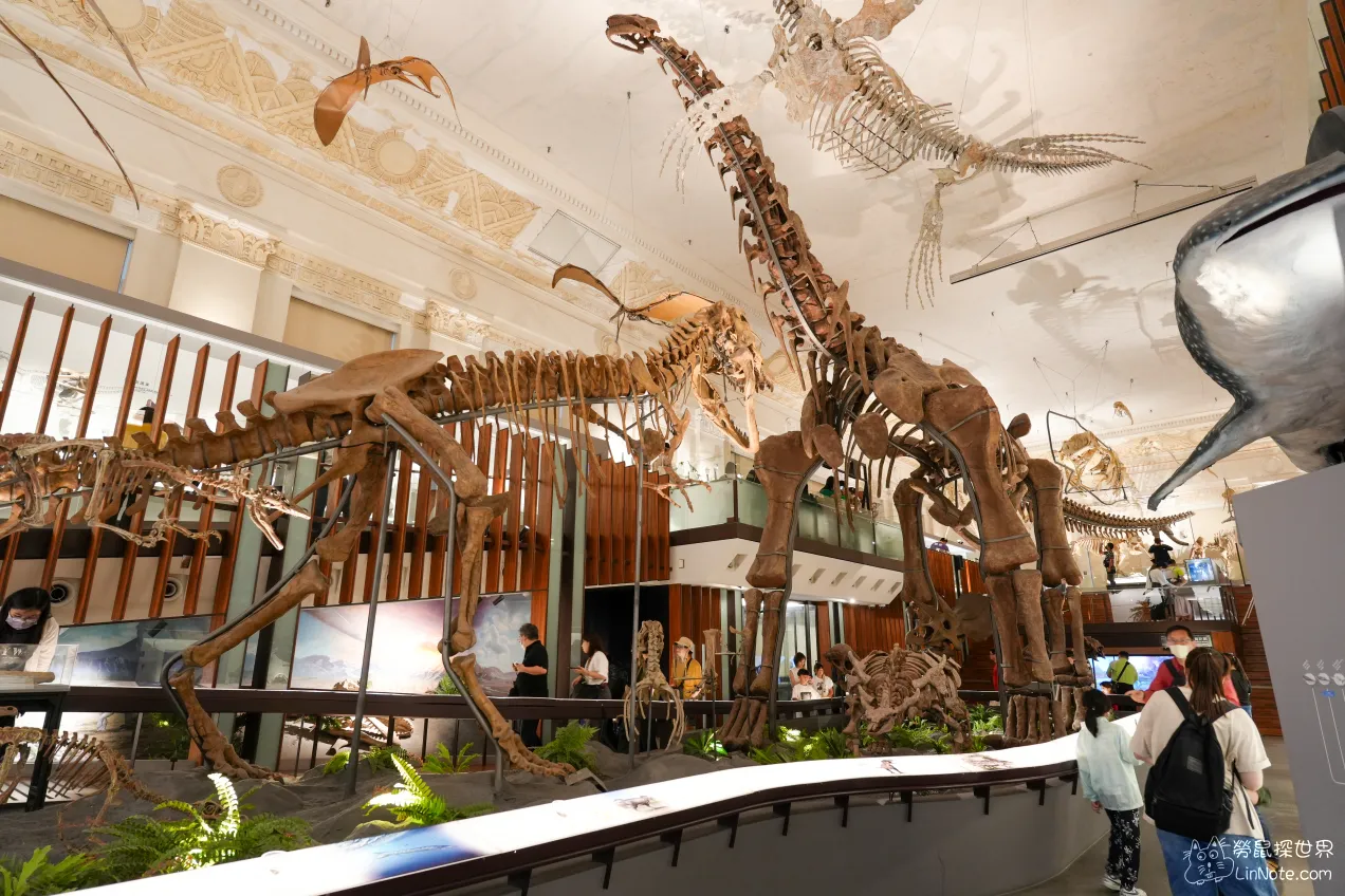 【台北中正區】台灣國立博物館古生物館，全台唯二暴龍化石
