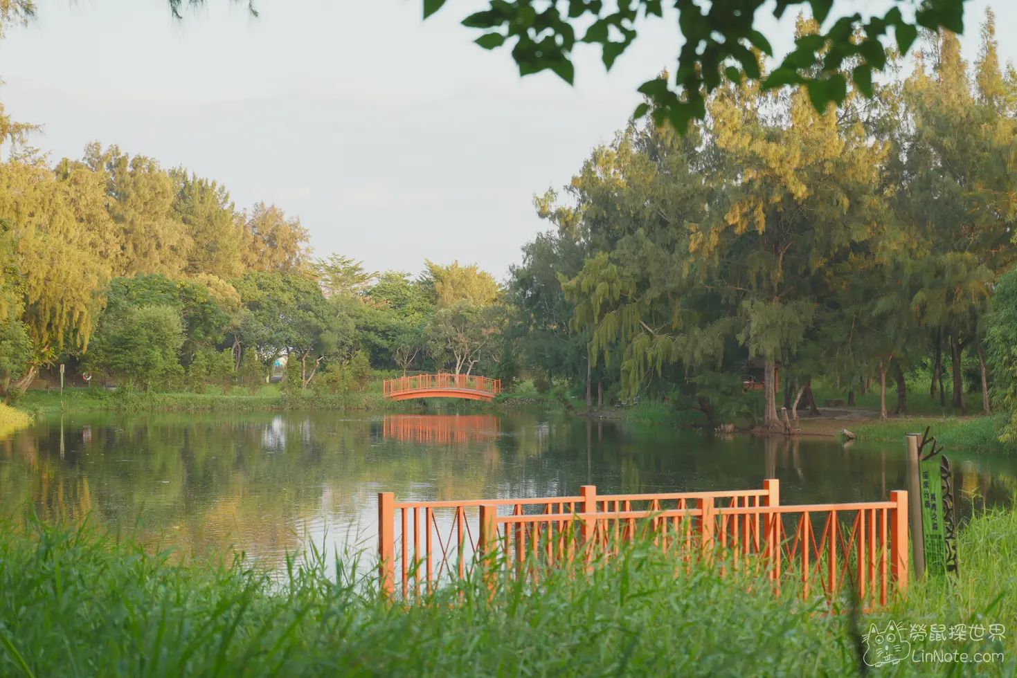 竹南溼地木棧道