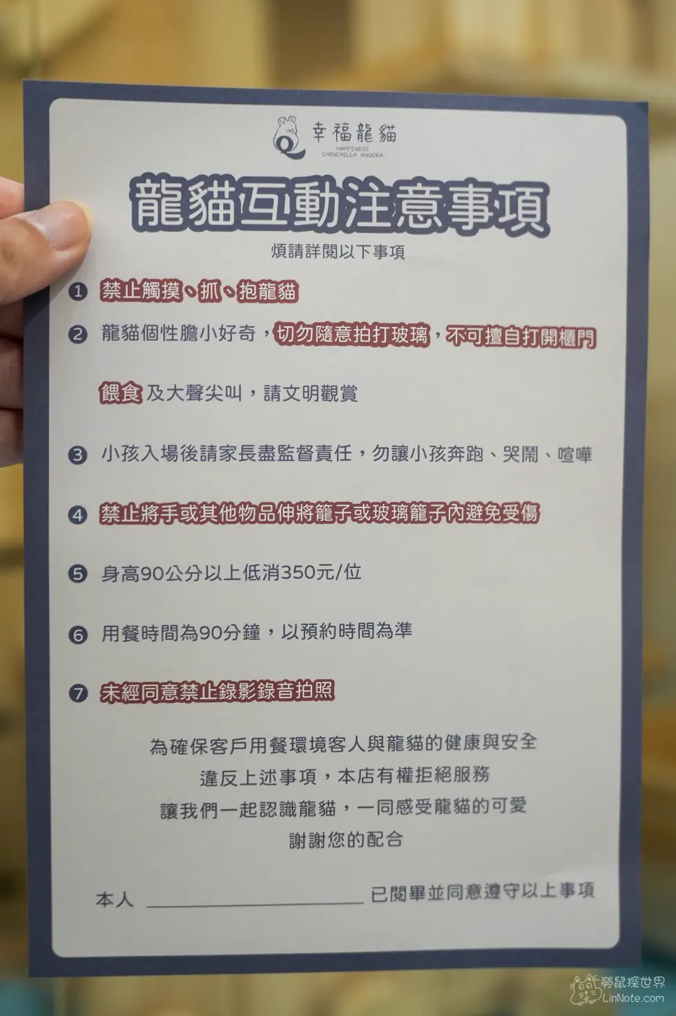 Happiness Chinchilla Coffee 11