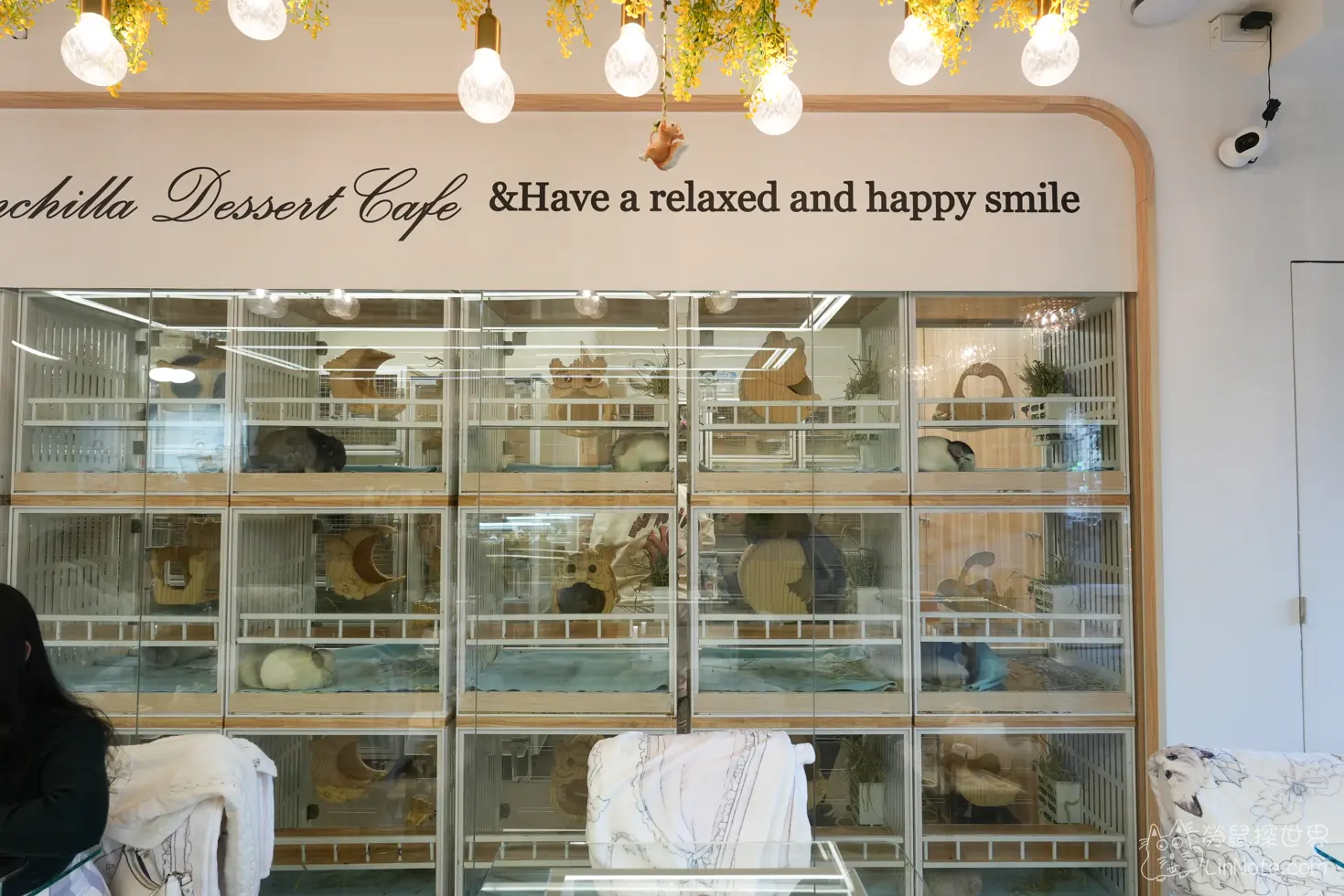 Happiness Chinchilla Coffee 46
