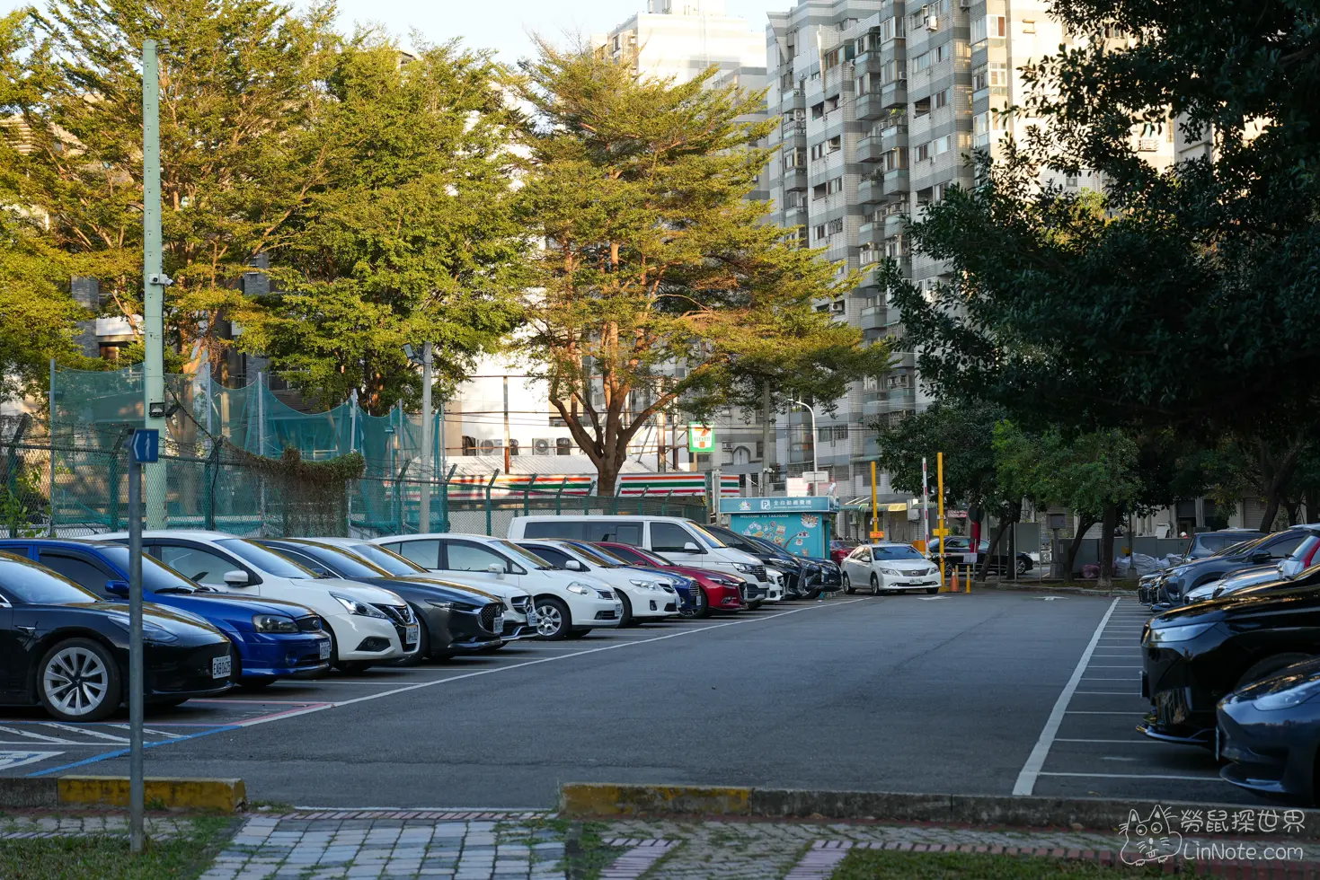 Happiness Chinchilla Coffee 9