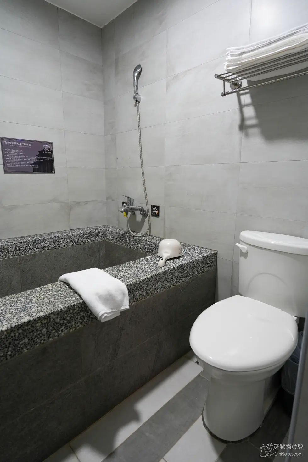 Prince Hot Spring Hotel 6