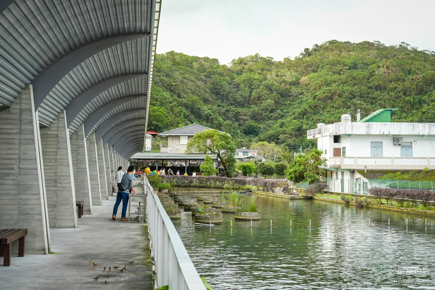 Produck Duck House 16