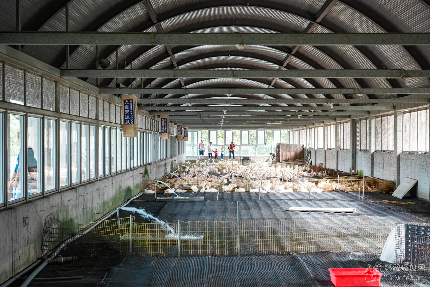 Produck Duck House 7