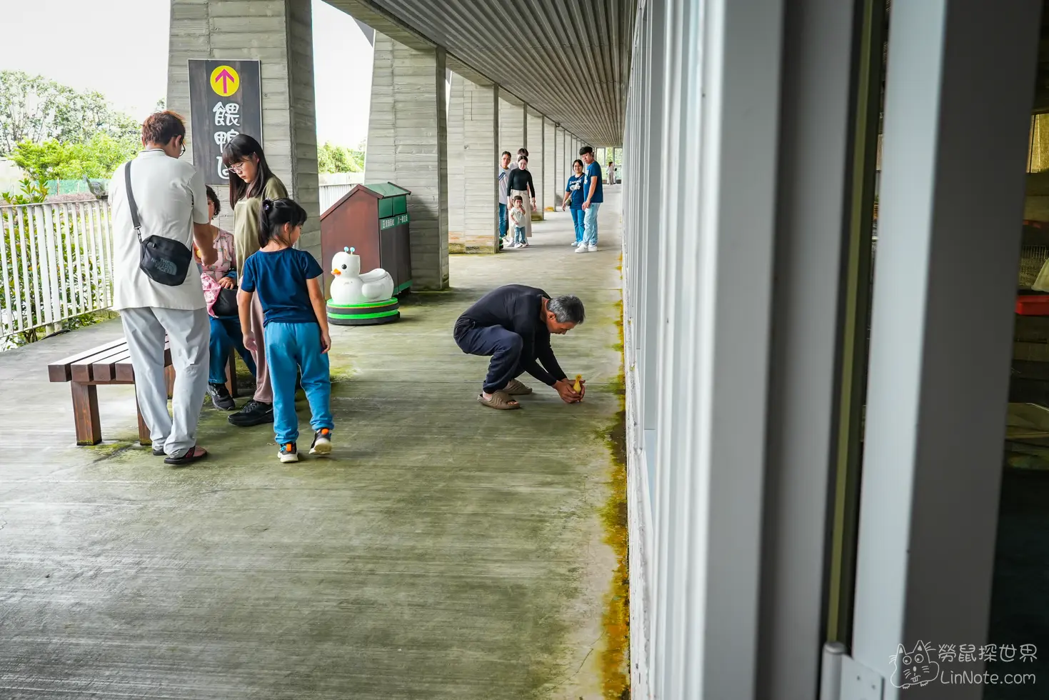 Produck Duck House 8