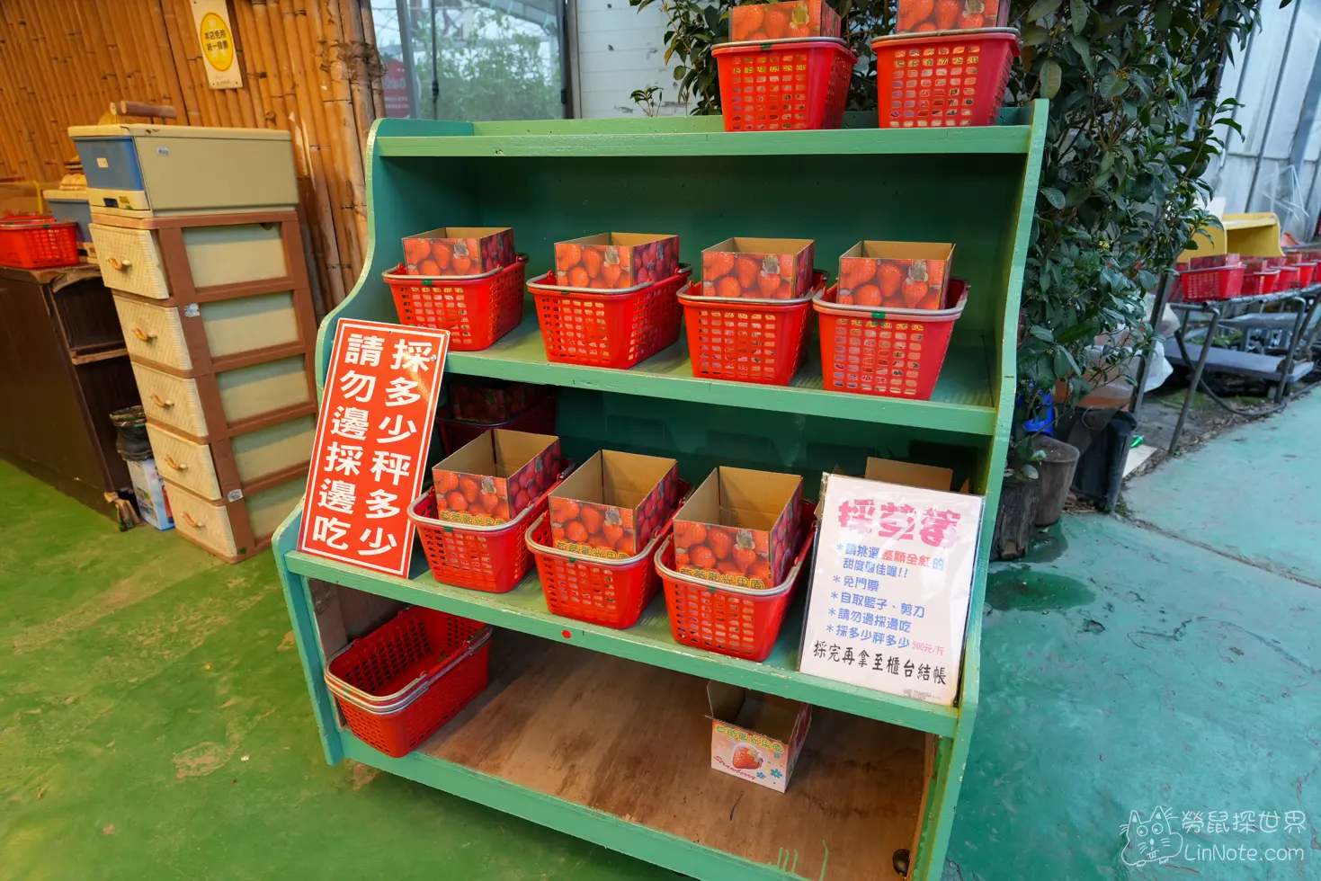 Tomato Home 65