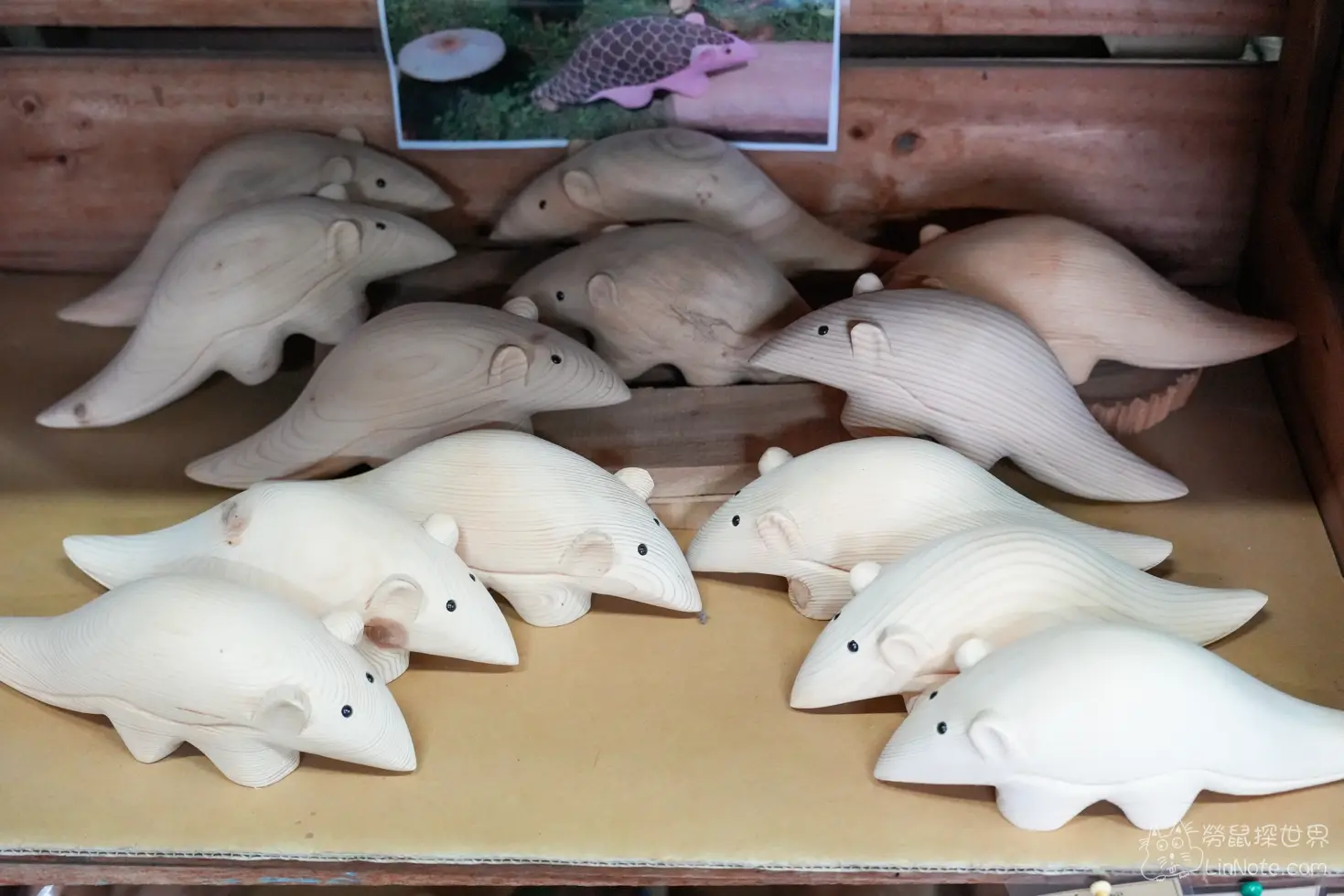 Duck Wood Treasure 15