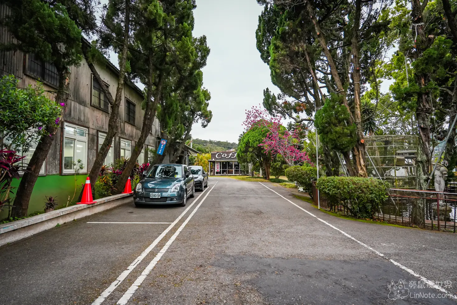 Duck Wood Treasure 28