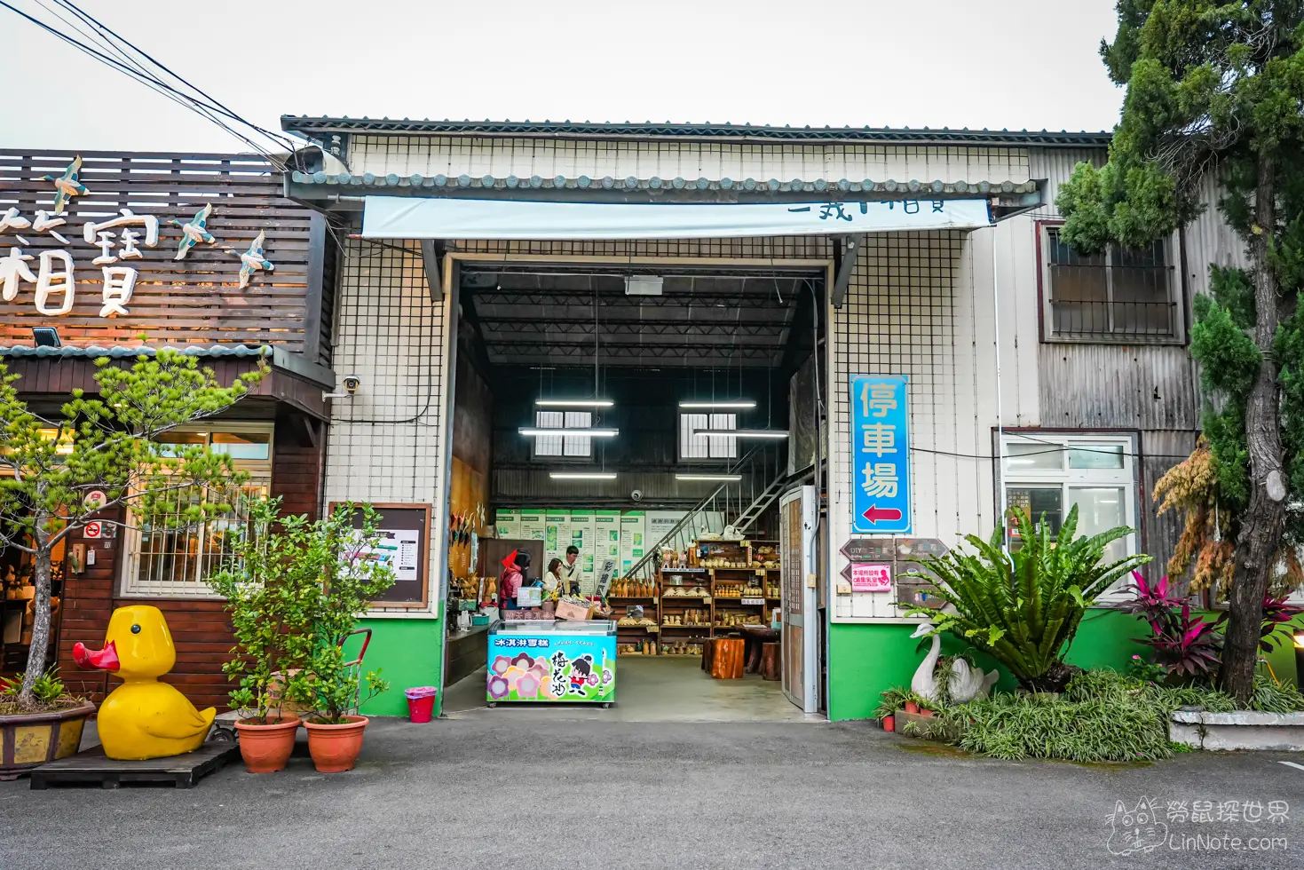 Duck Wood Treasure 29