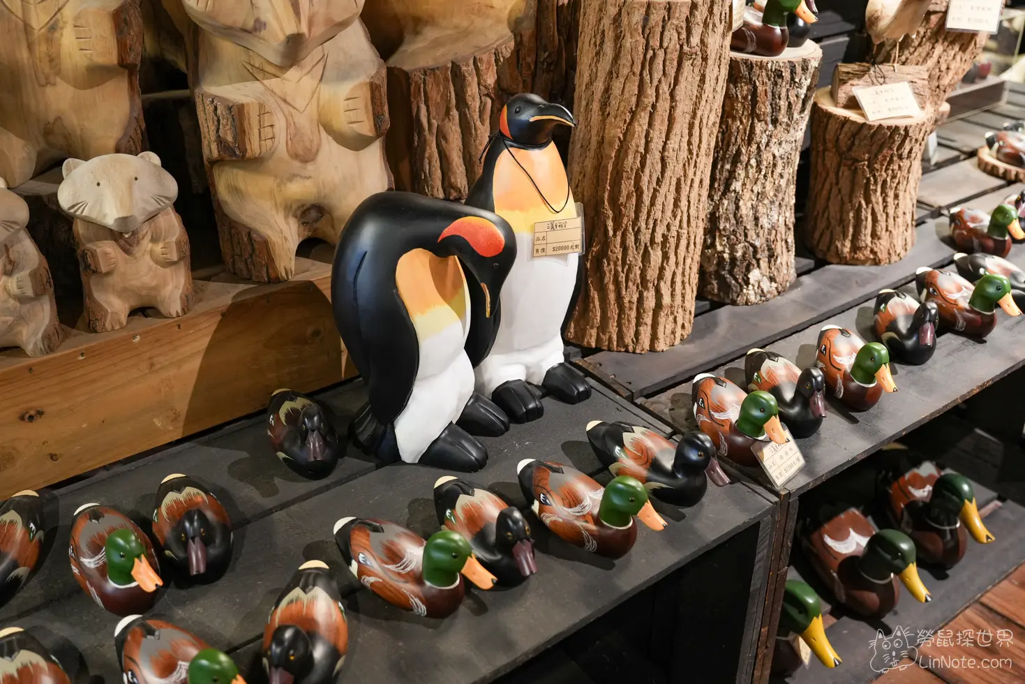 Duck Wood Treasure 6