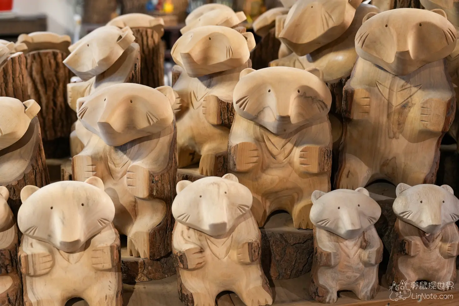 Duck Wood Treasure 7