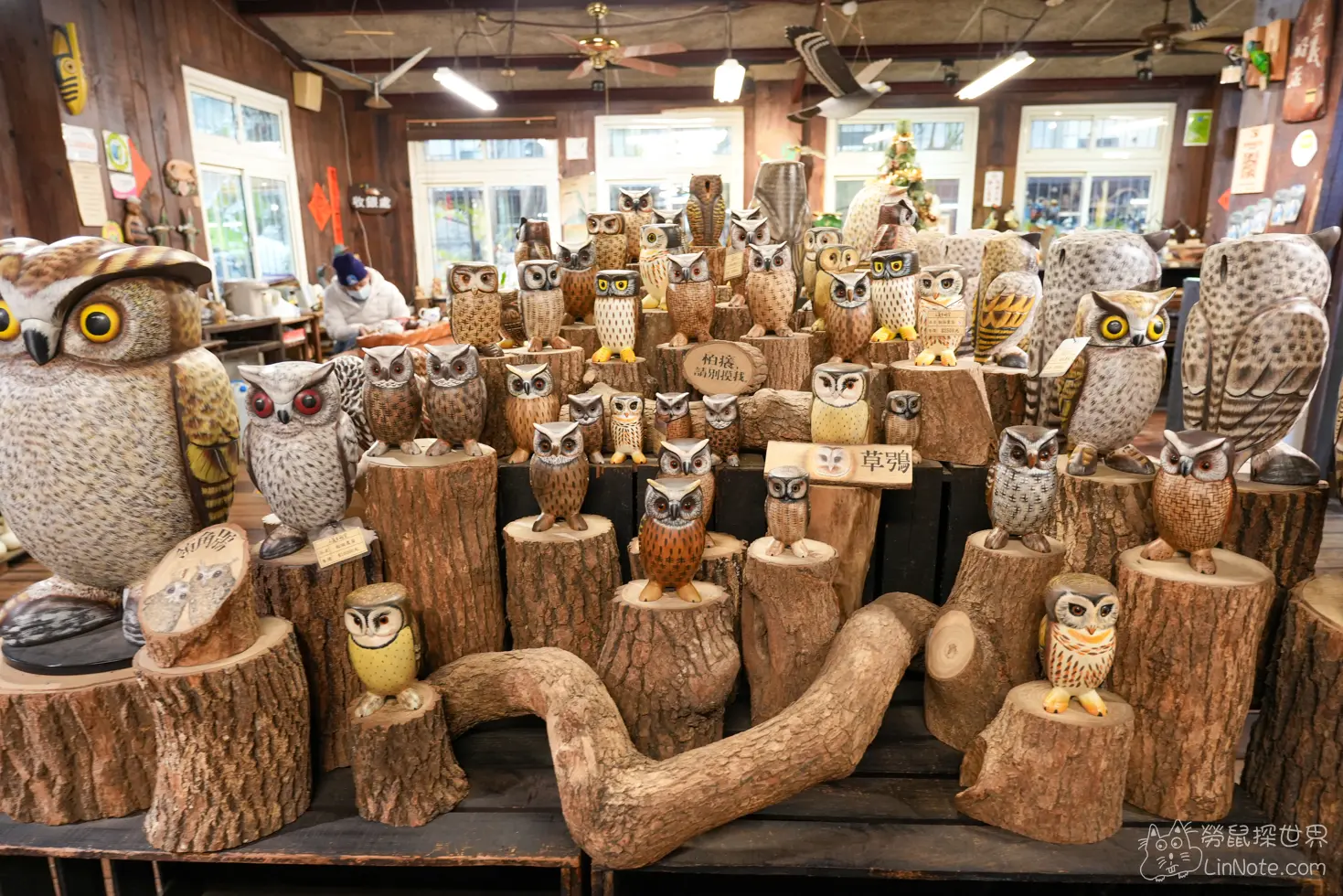 Duck Wood Treasure 8