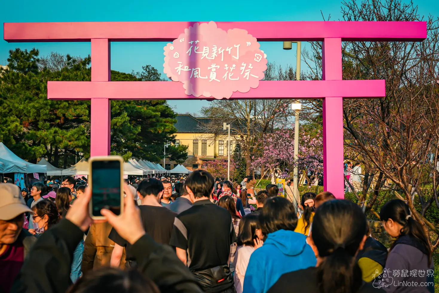 Hsinchu Park Sakura 2025 7