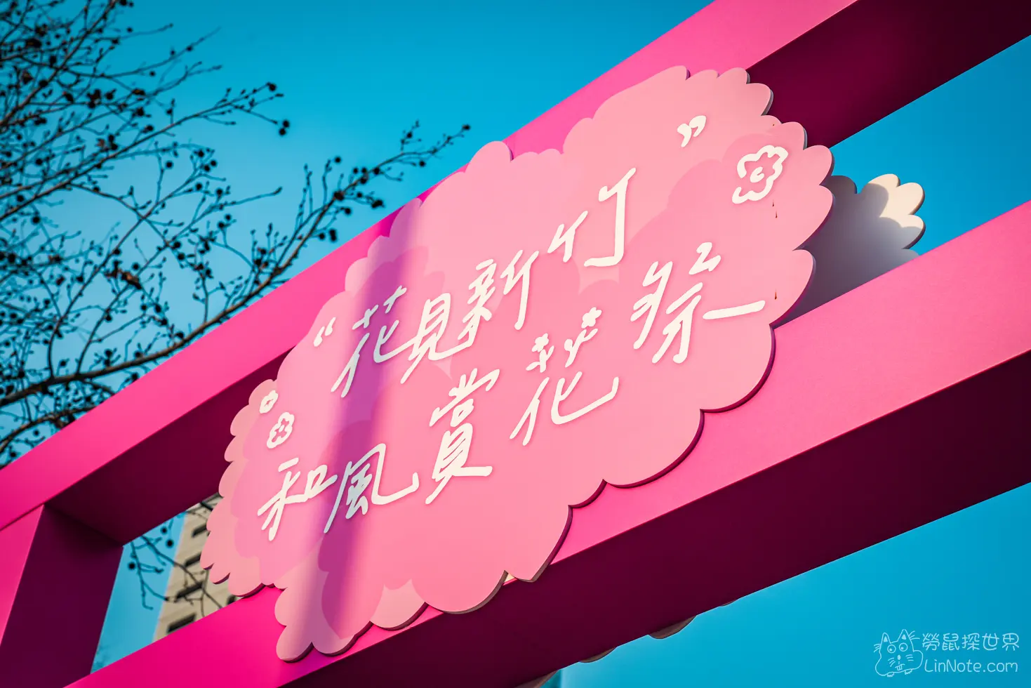 Hsinchu Park Sakura 2025 8