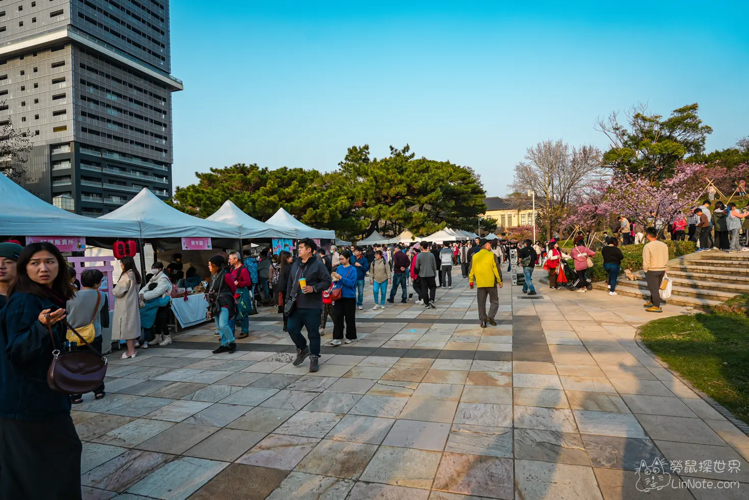 Hsinchu Park Sakura 2025 9