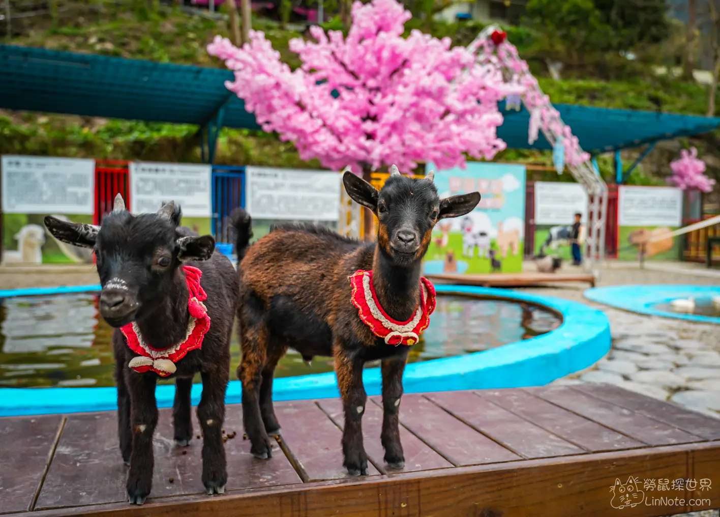 Menggu Waterfall Farm 18