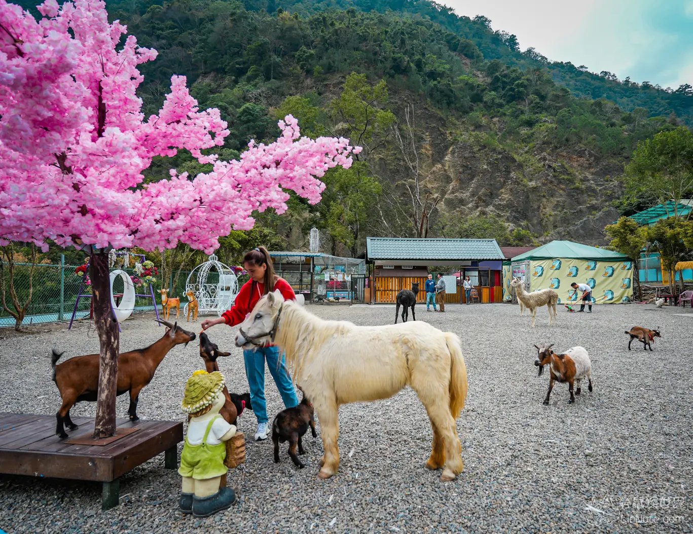Menggu Waterfall Farm 34