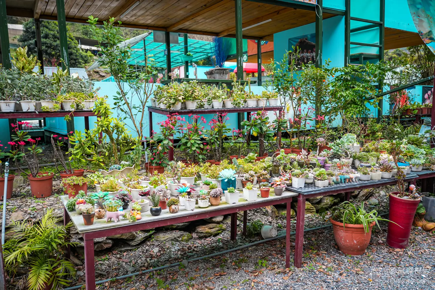 Menggu Waterfall Farm 42