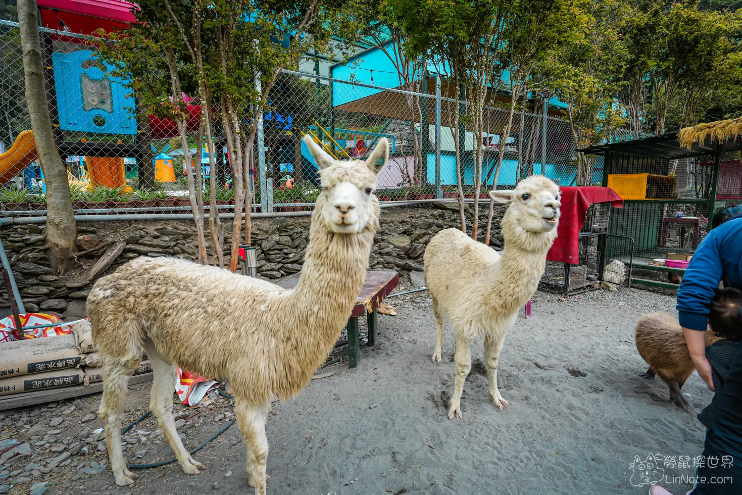 Menggu Waterfall Farm 5