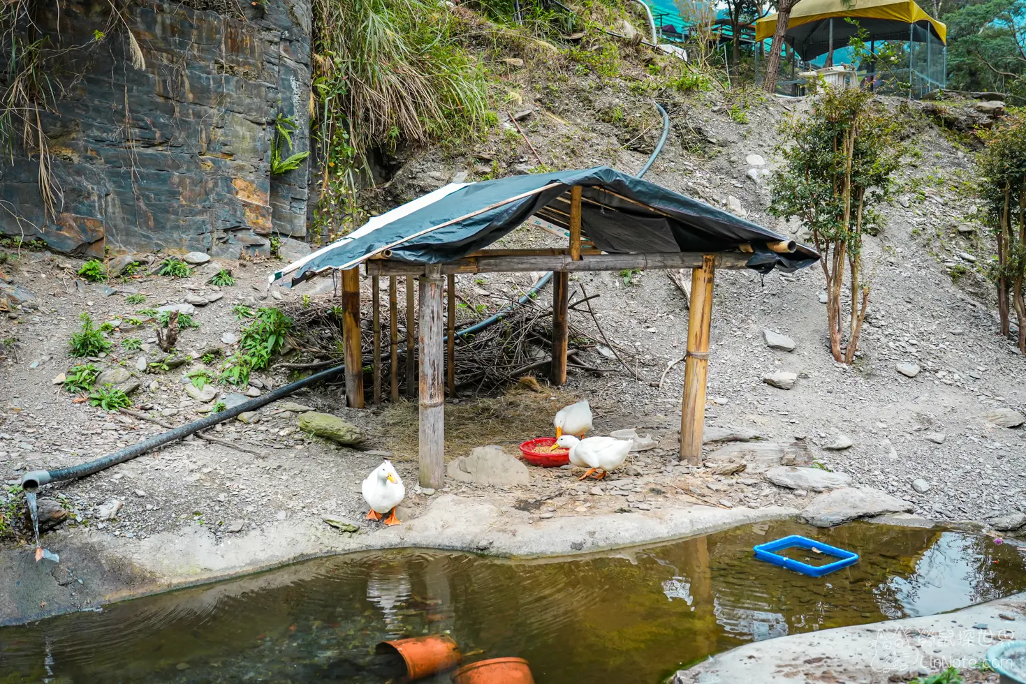 Menggu Waterfall Farm 55