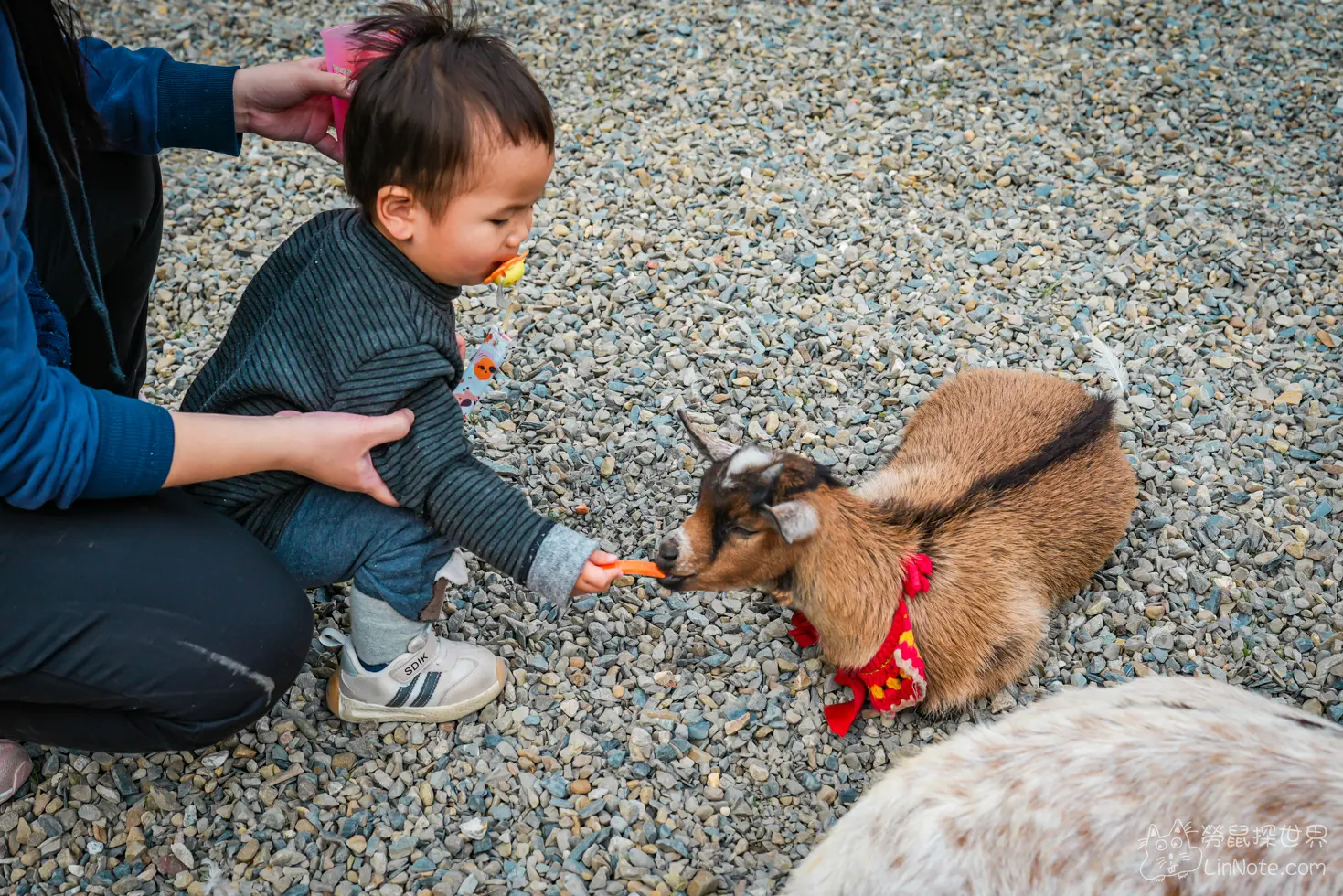 Menggu Waterfall Farm 8