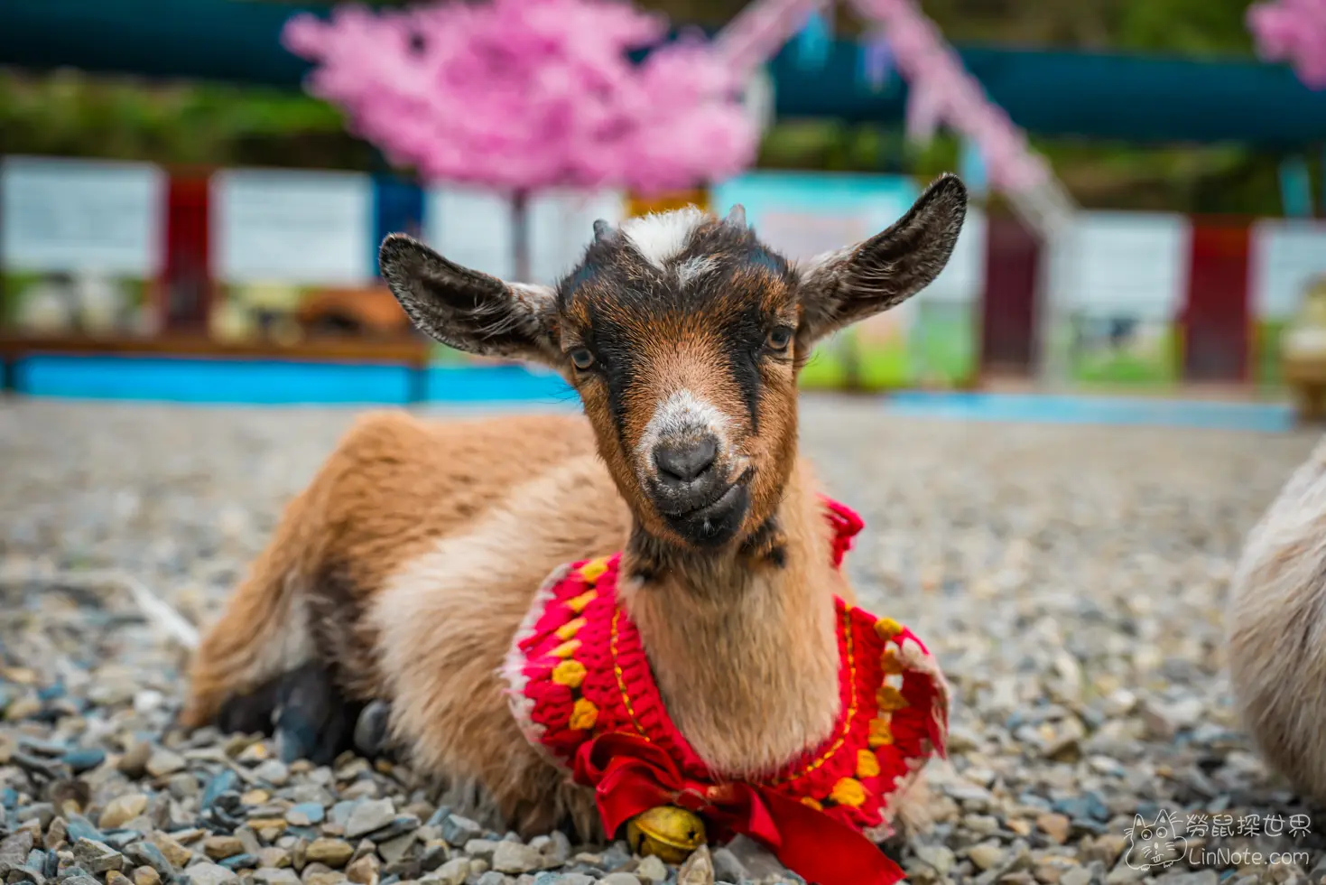 Menggu Waterfall Farm 9