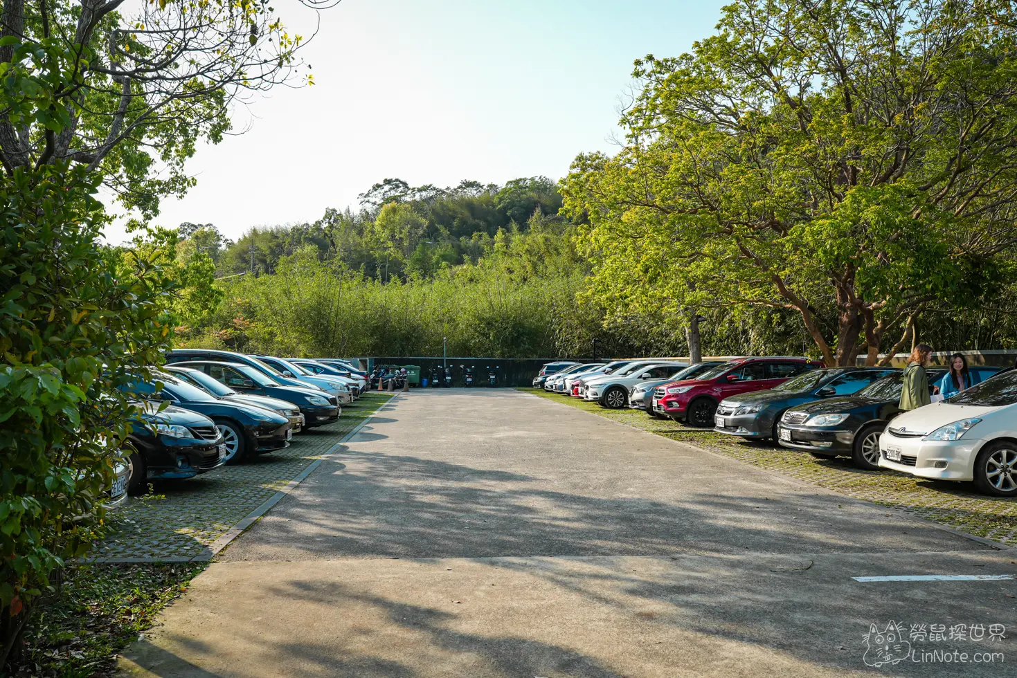 大溪老茶廠停車場