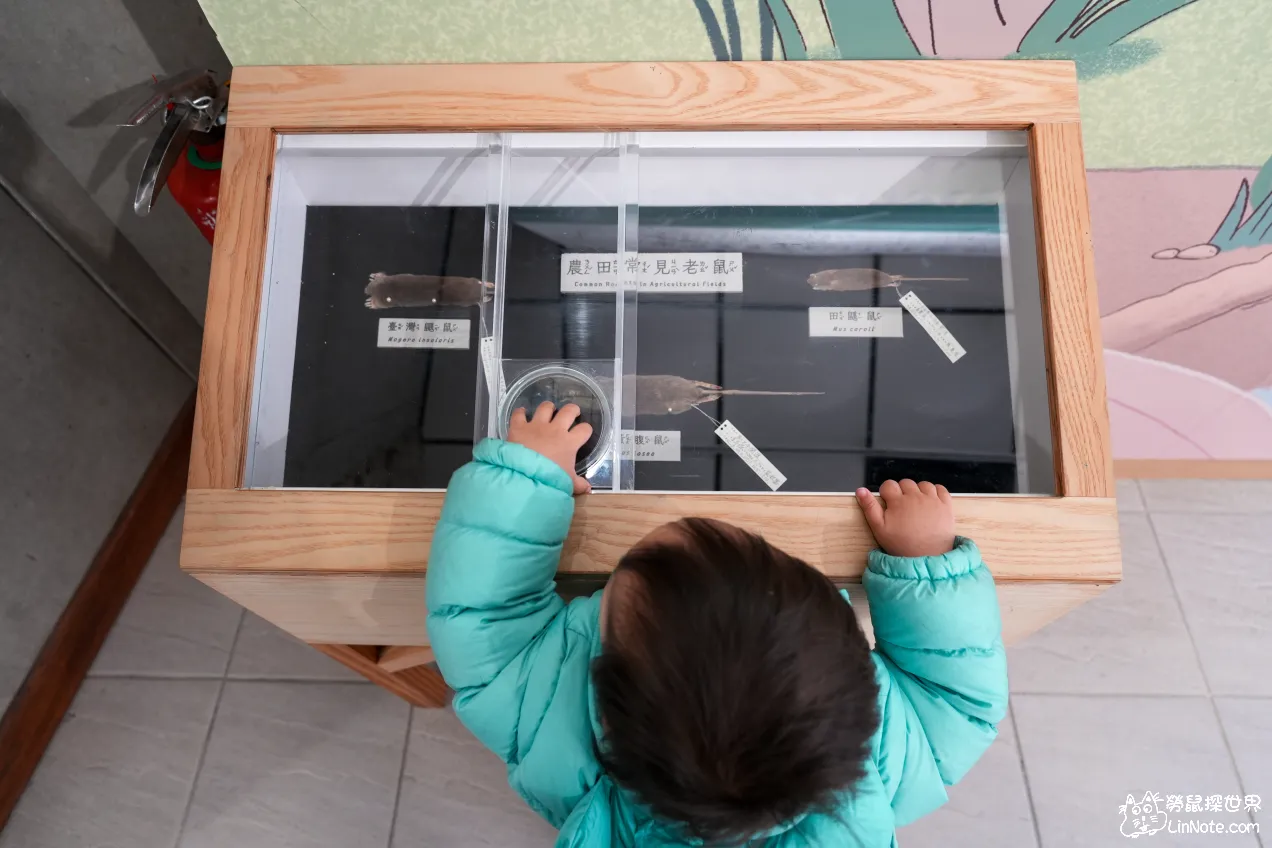 Huoyanshan education center 15