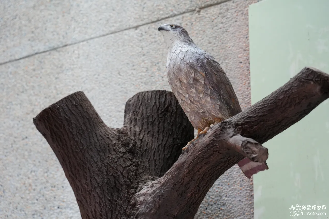 Huoyanshan education center 22