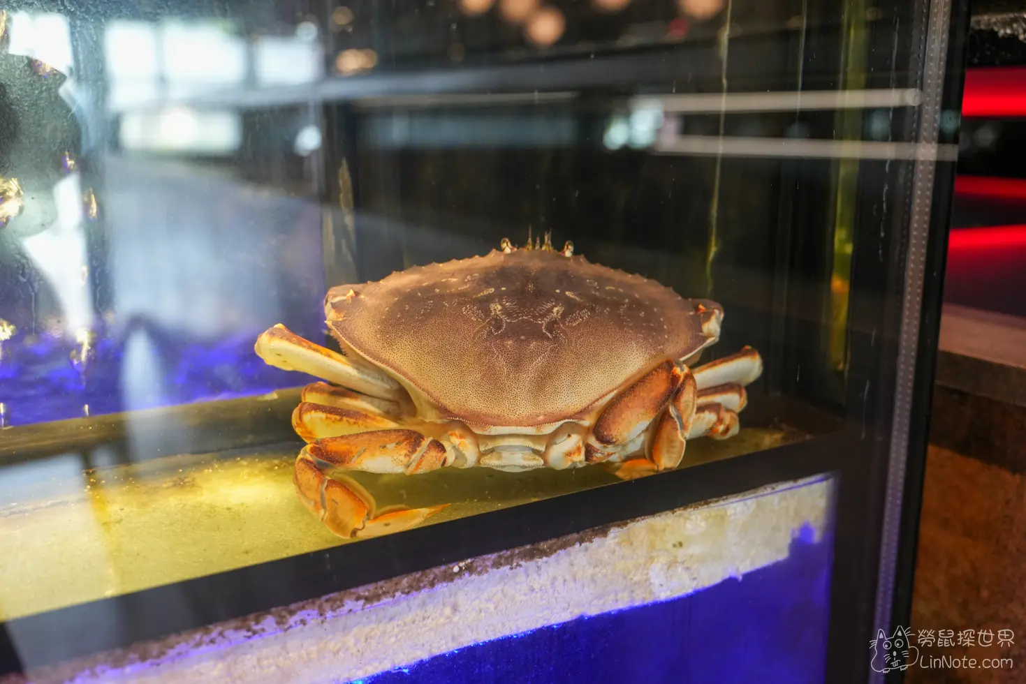 Fresh party hotpot 11