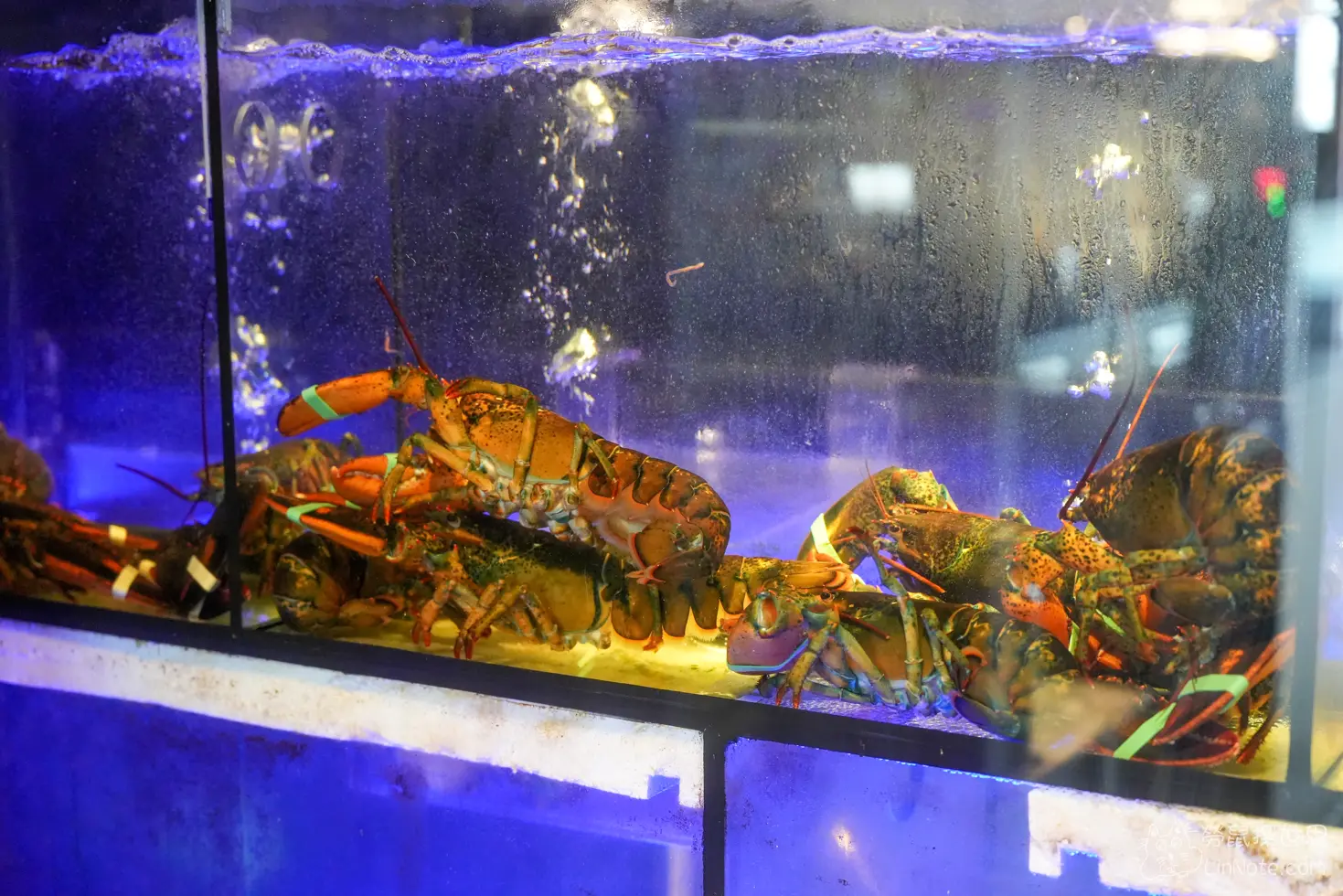 Fresh party hotpot 4