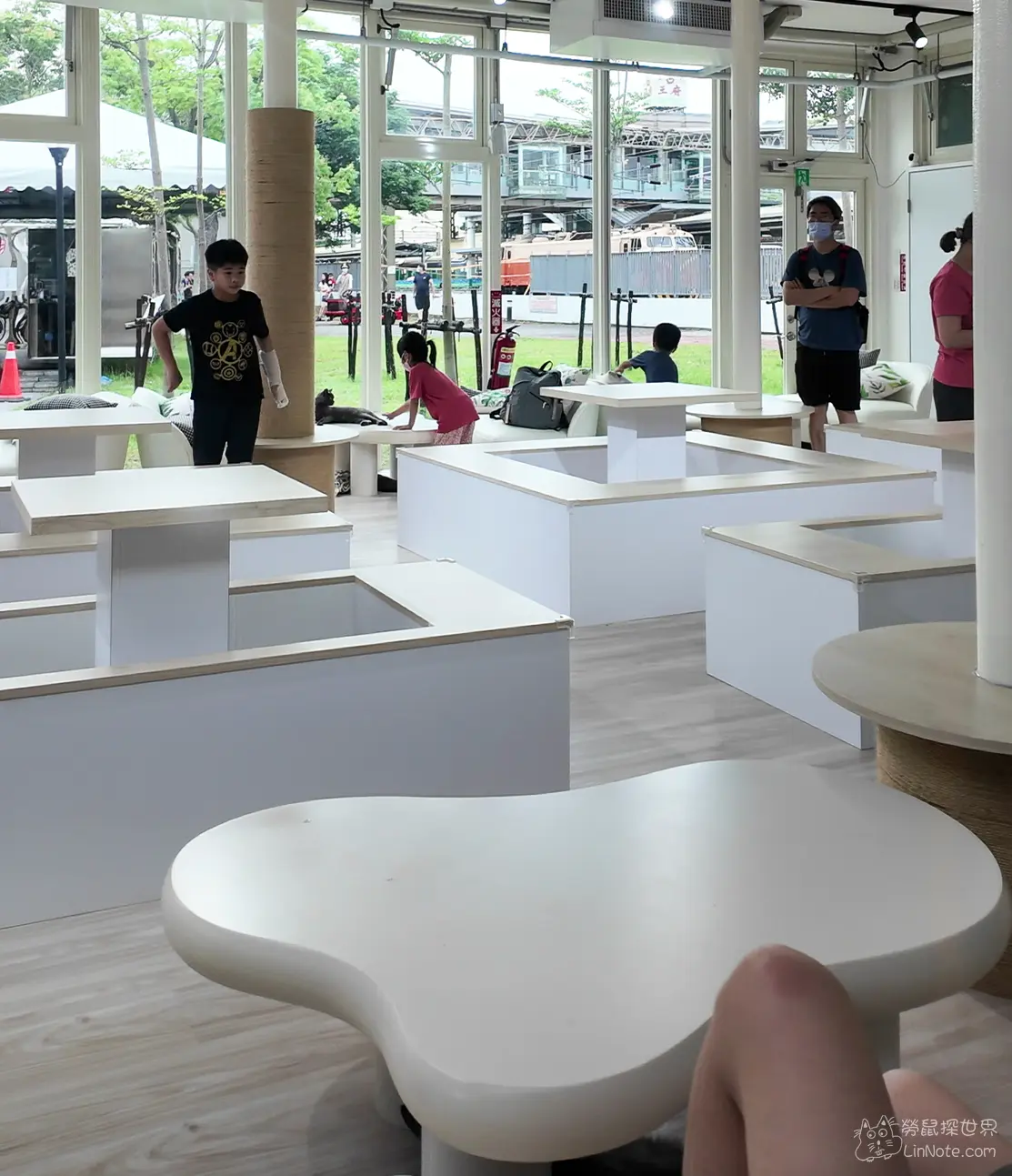 苗栗火車頭園區擼貓館與可愛貓咪互動