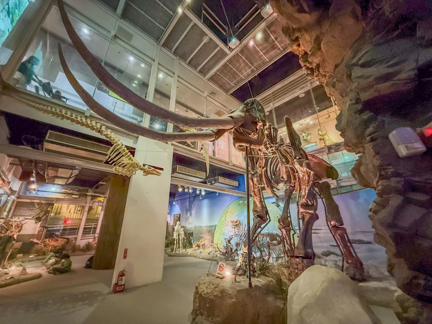 Tree valley museum 17