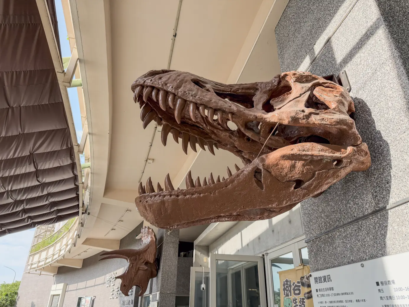 Tree valley museum 7