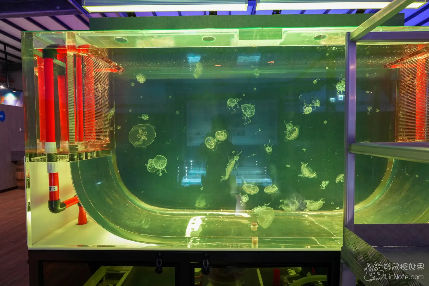 King car biotechnology aquaculture center 11