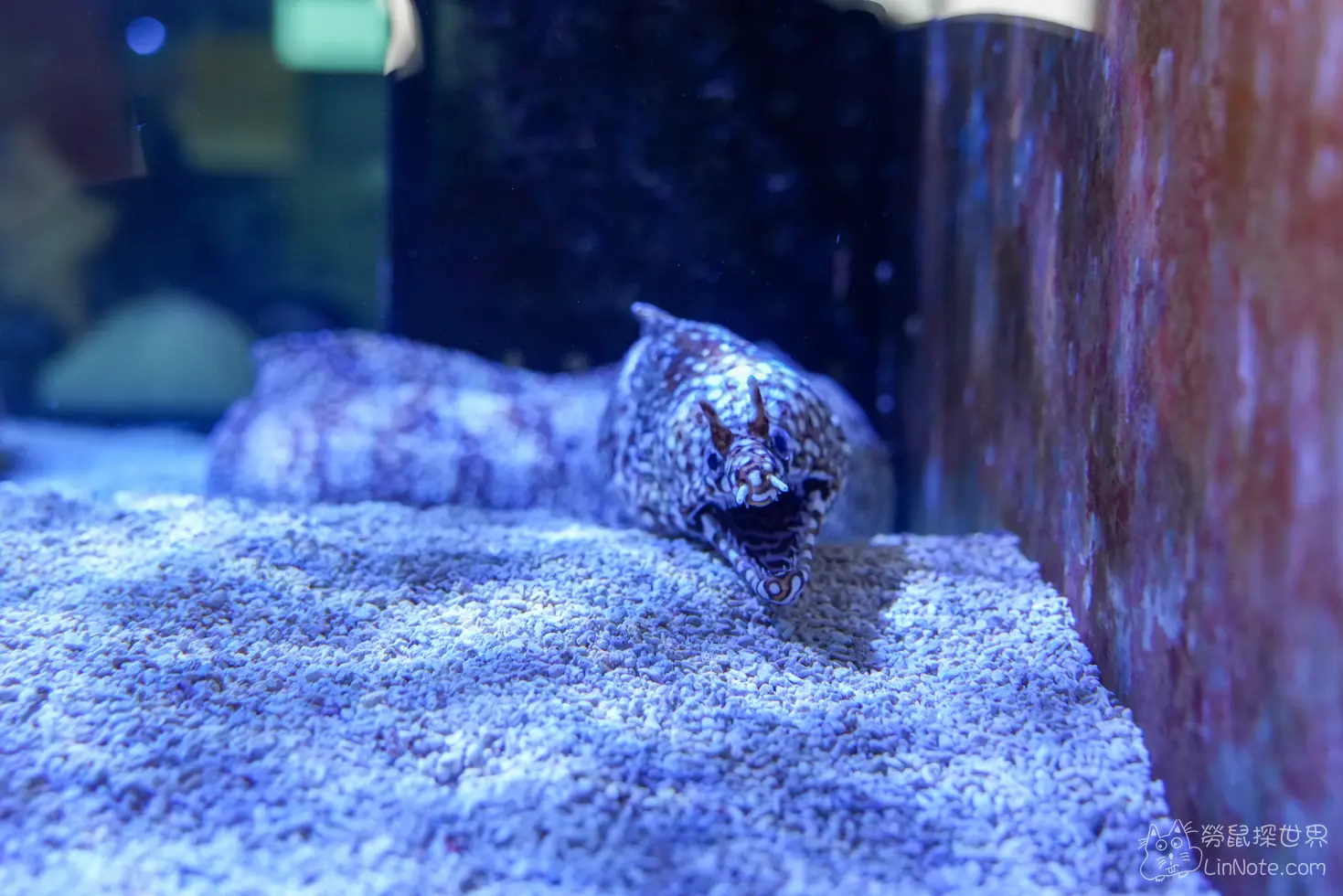 King car biotechnology aquaculture center 18