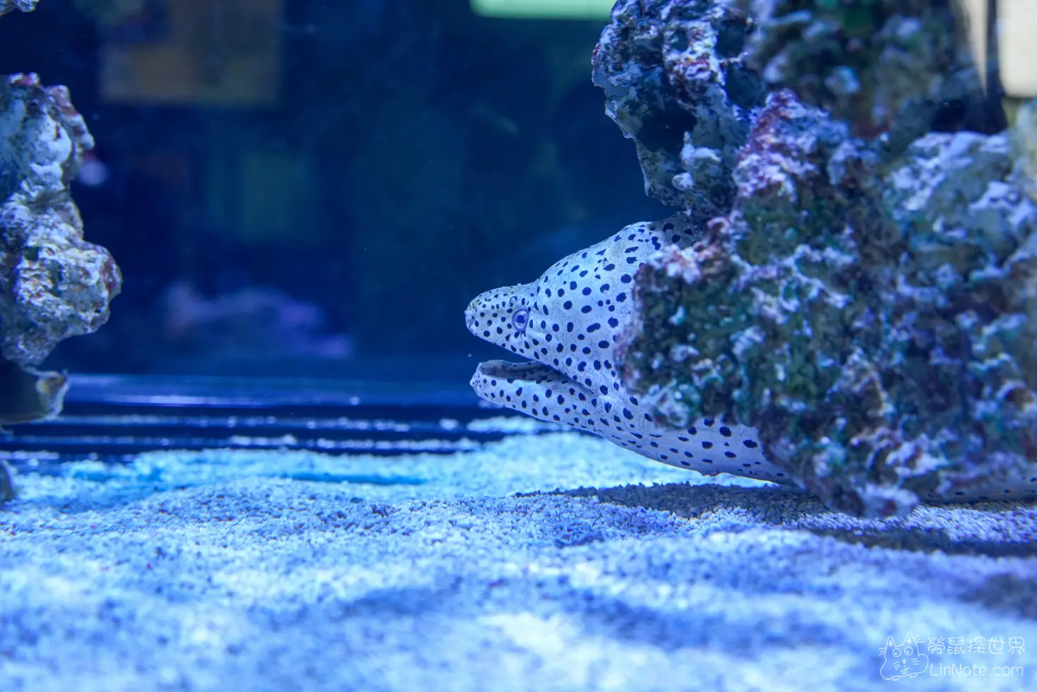 King car biotechnology aquaculture center 19