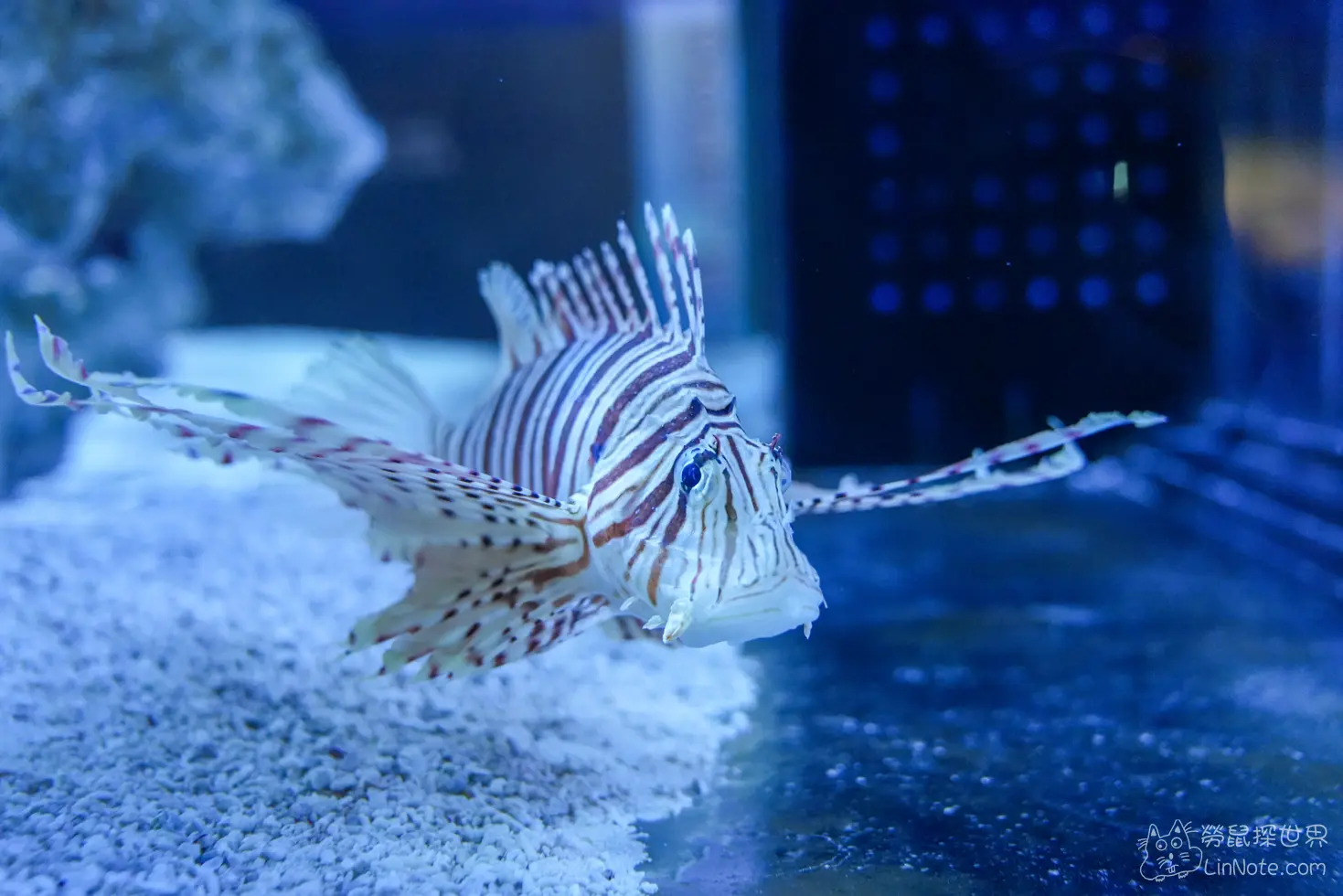 King car biotechnology aquaculture center 25