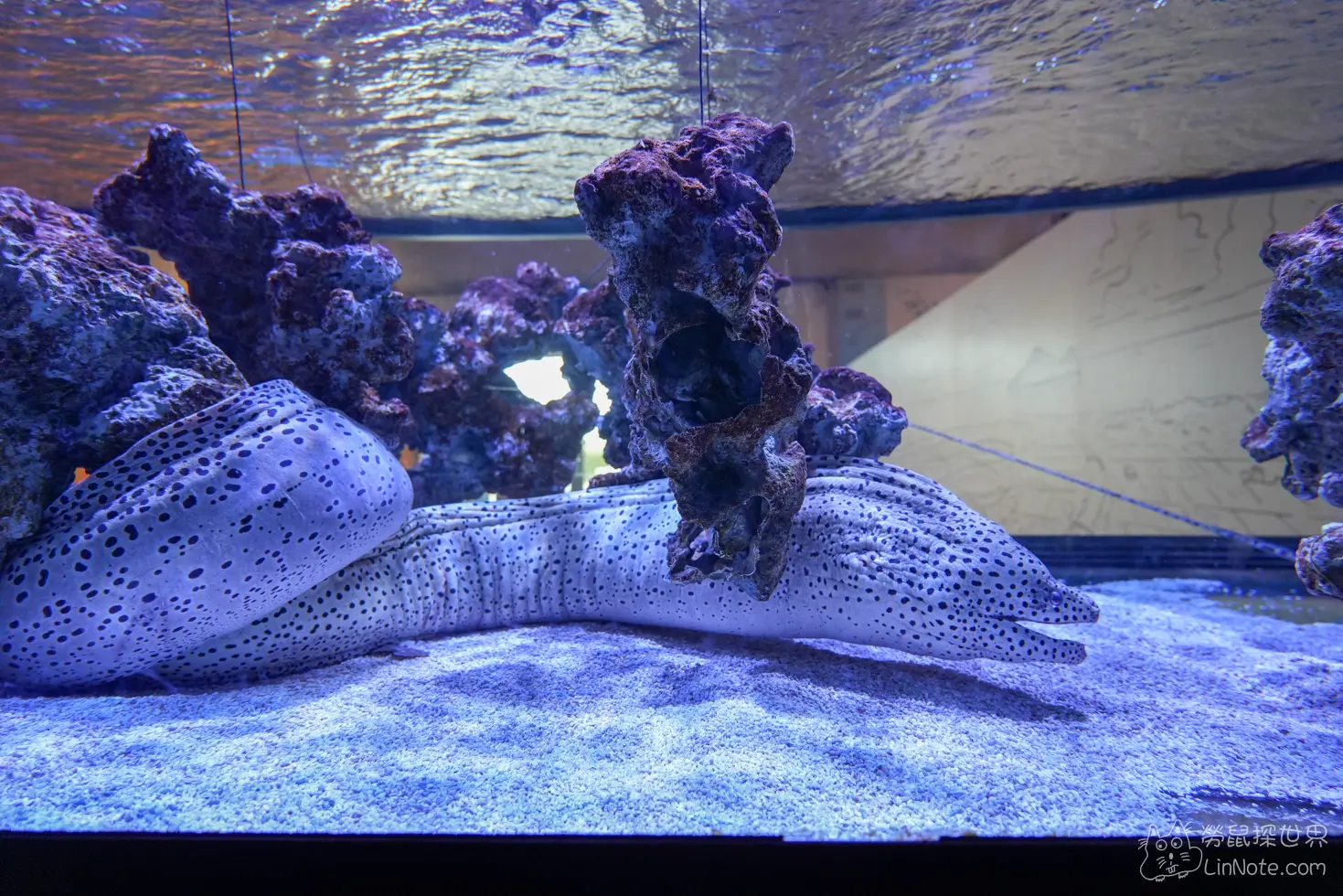 King car biotechnology aquaculture center 30