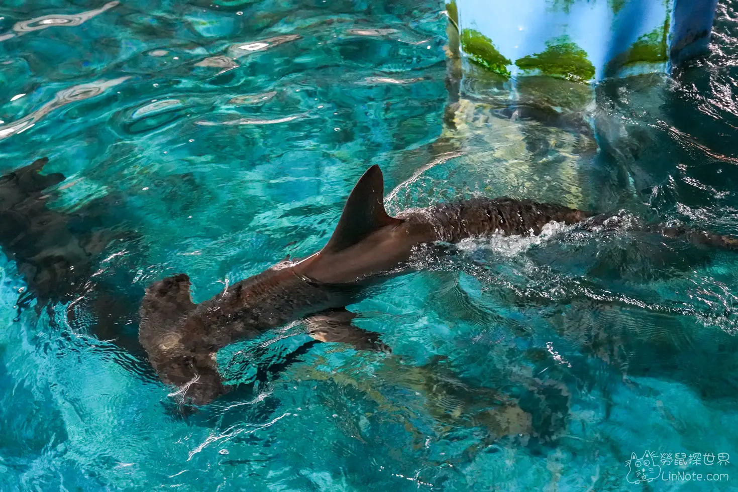 King car biotechnology aquaculture center 36