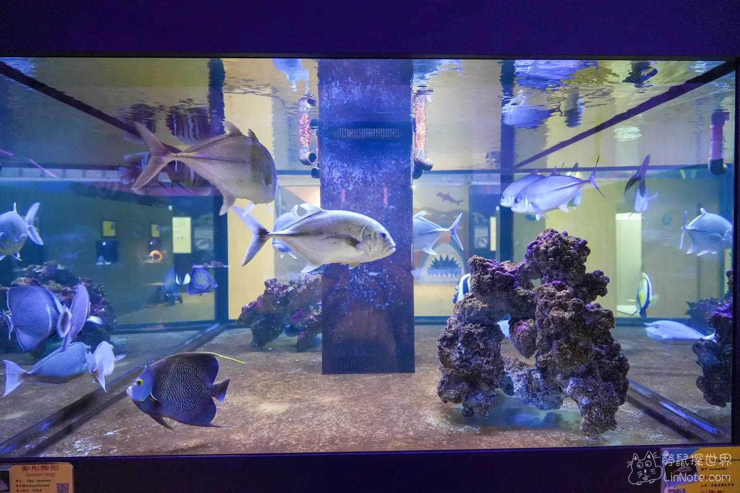 King car biotechnology aquaculture center 5