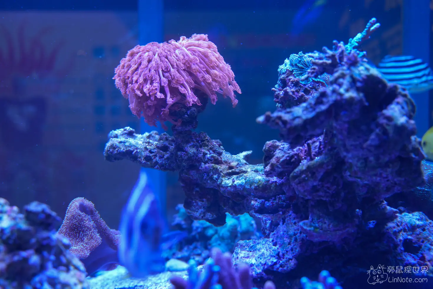 King car biotechnology aquaculture center 7