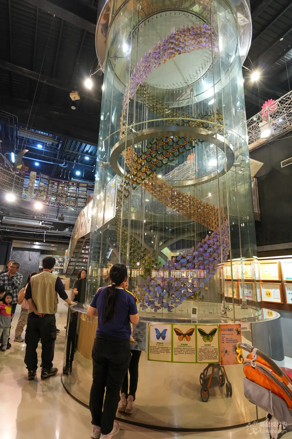 Ncyu insect museum 14