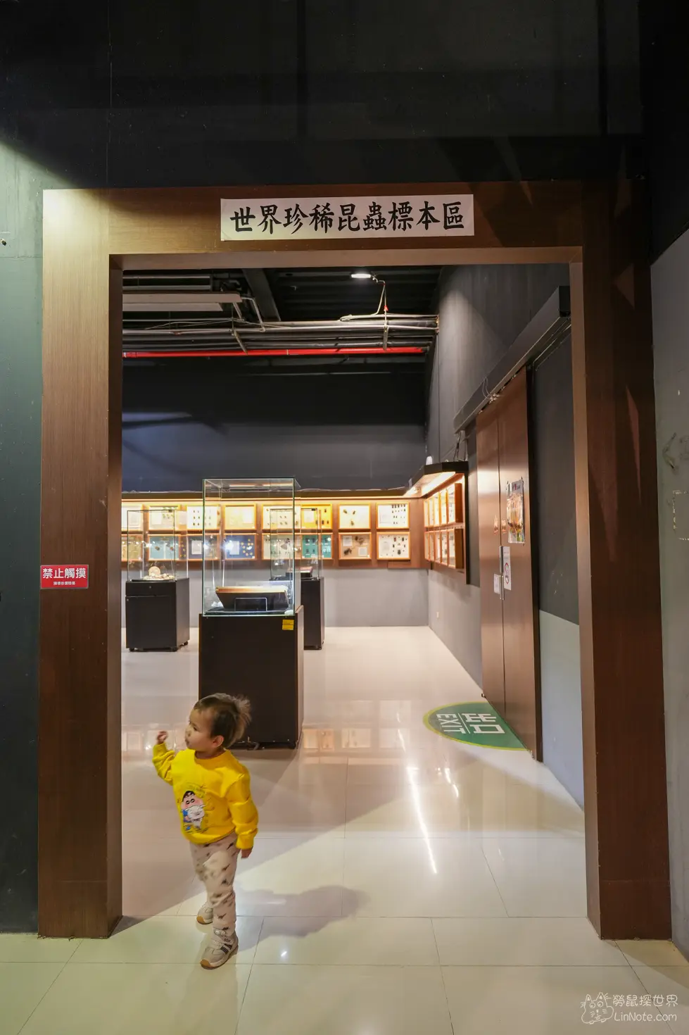 Ncyu insect museum 21