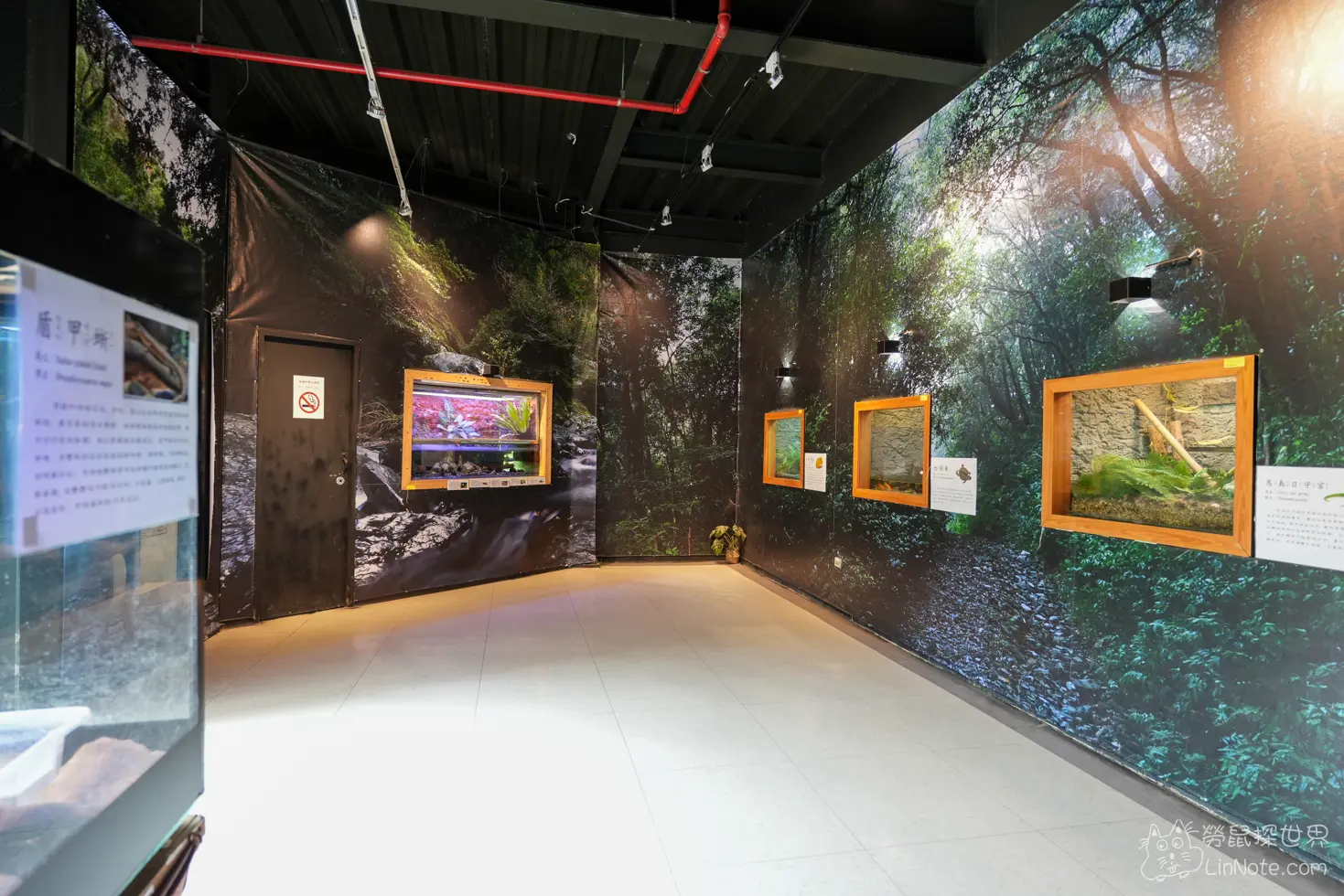 Ncyu insect museum 37