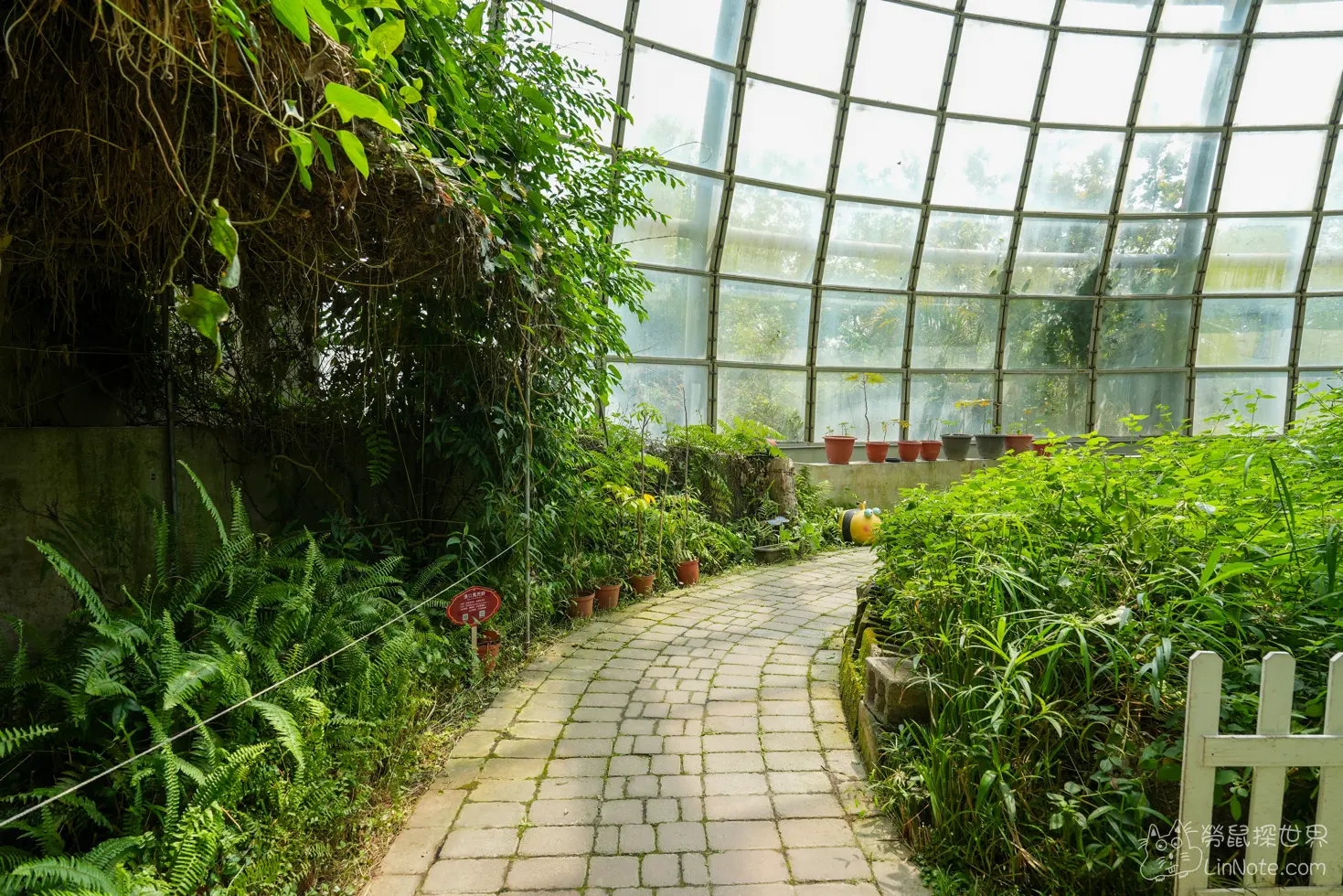 Ncyu insect museum 39