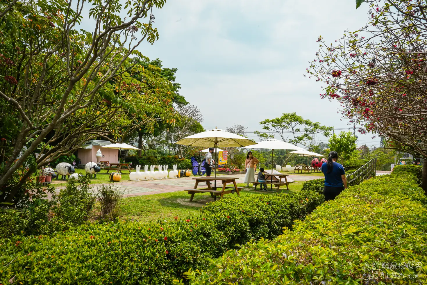 Ncyu insect museum 4