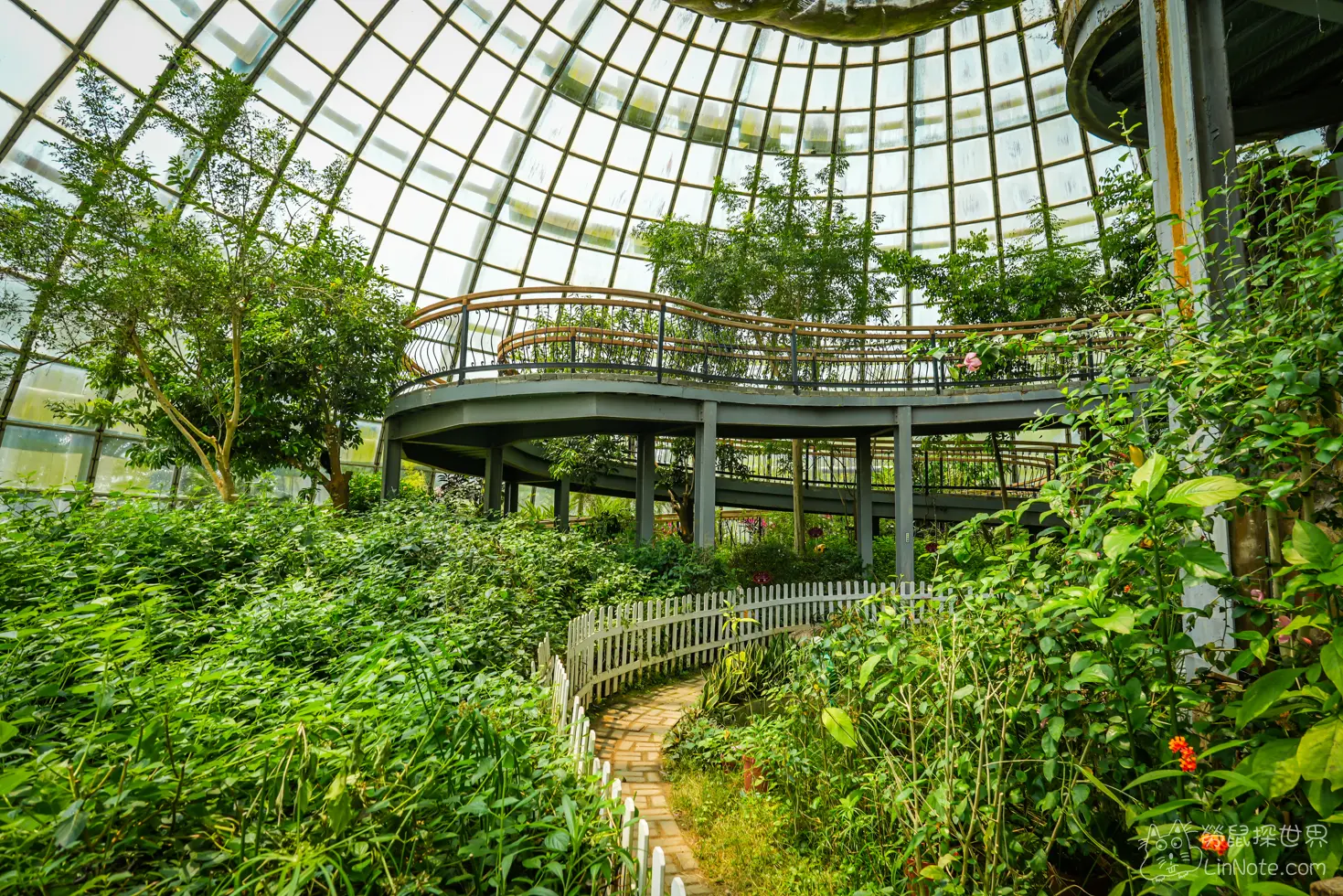 Ncyu insect museum 40